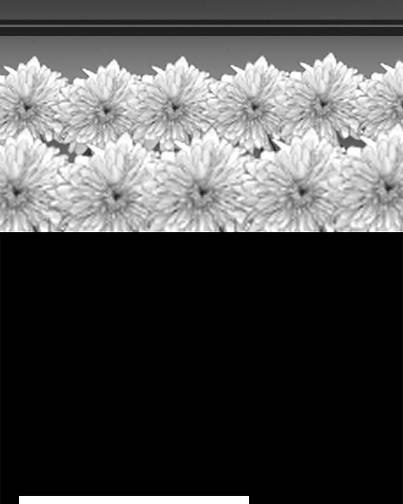 Phòng Gym Hanlim Chapter 39 - Trang 2