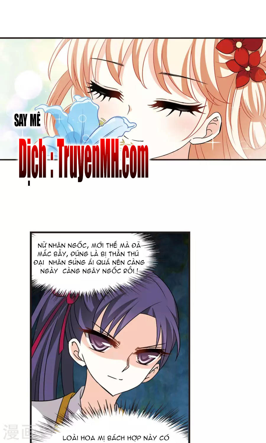 Phong Khởi Thương Lam Chapter 132 - Trang 2