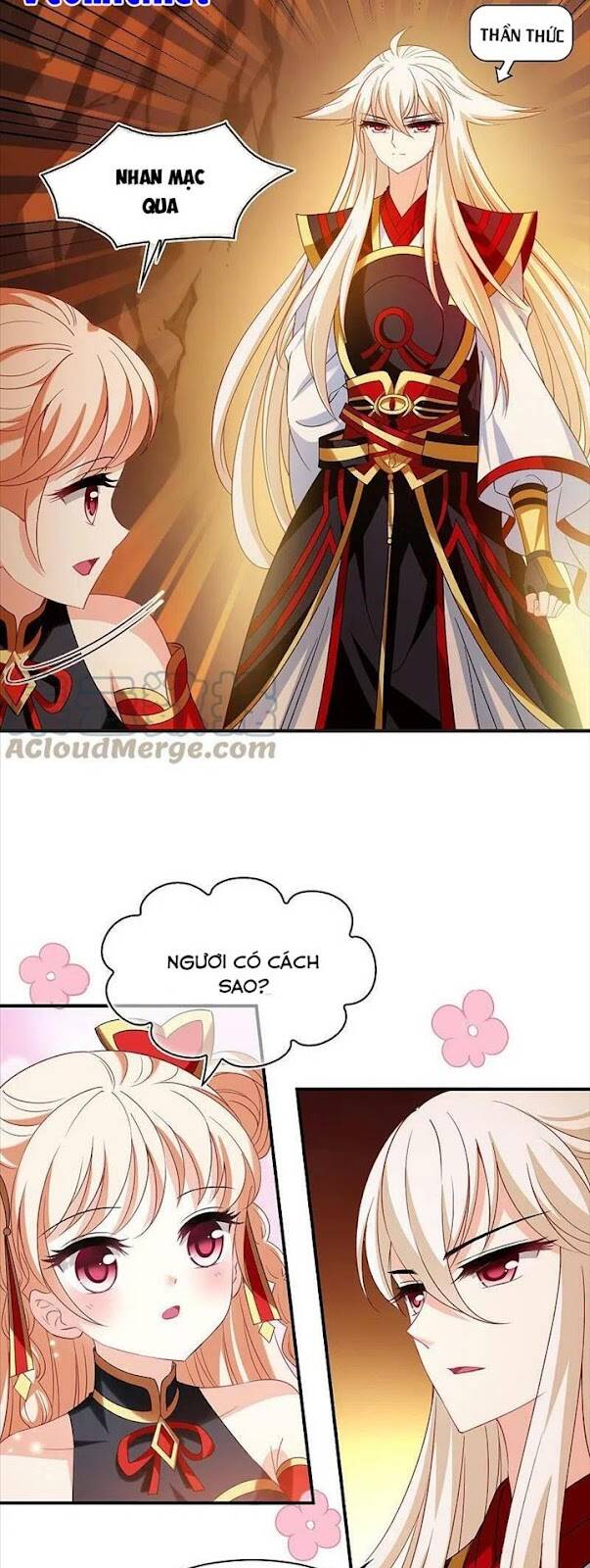 Phong Khởi Thương Lam Chapter 557 - Trang 2