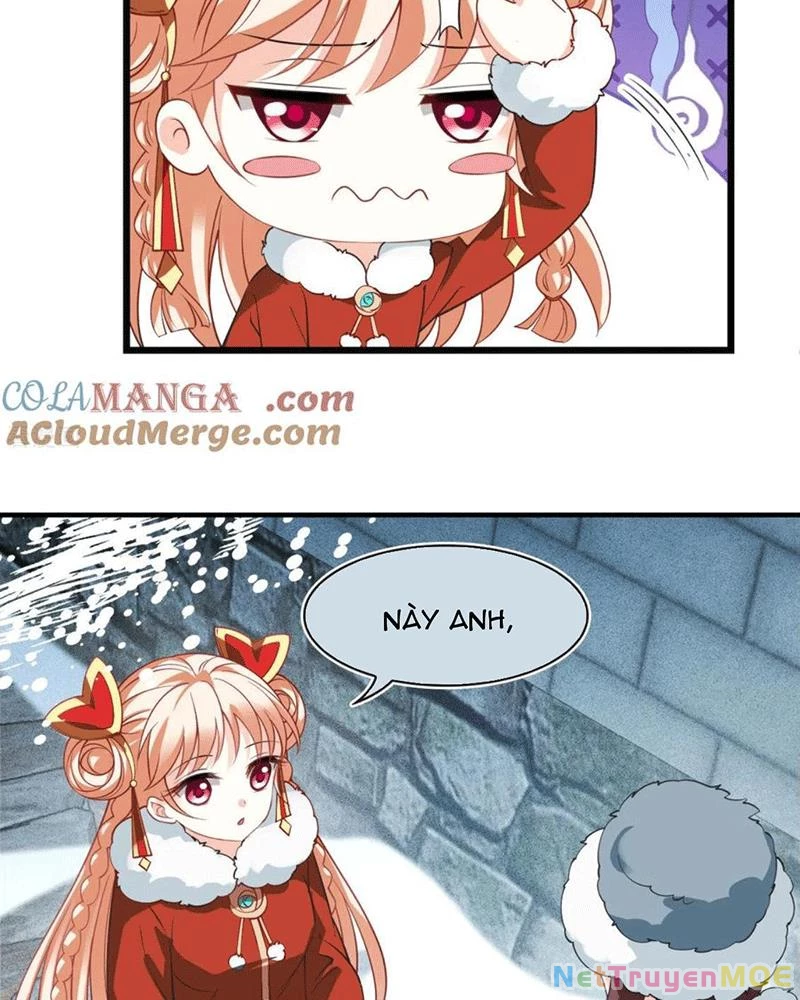 Phong Khởi Thương Lam Chapter 677 - Trang 2