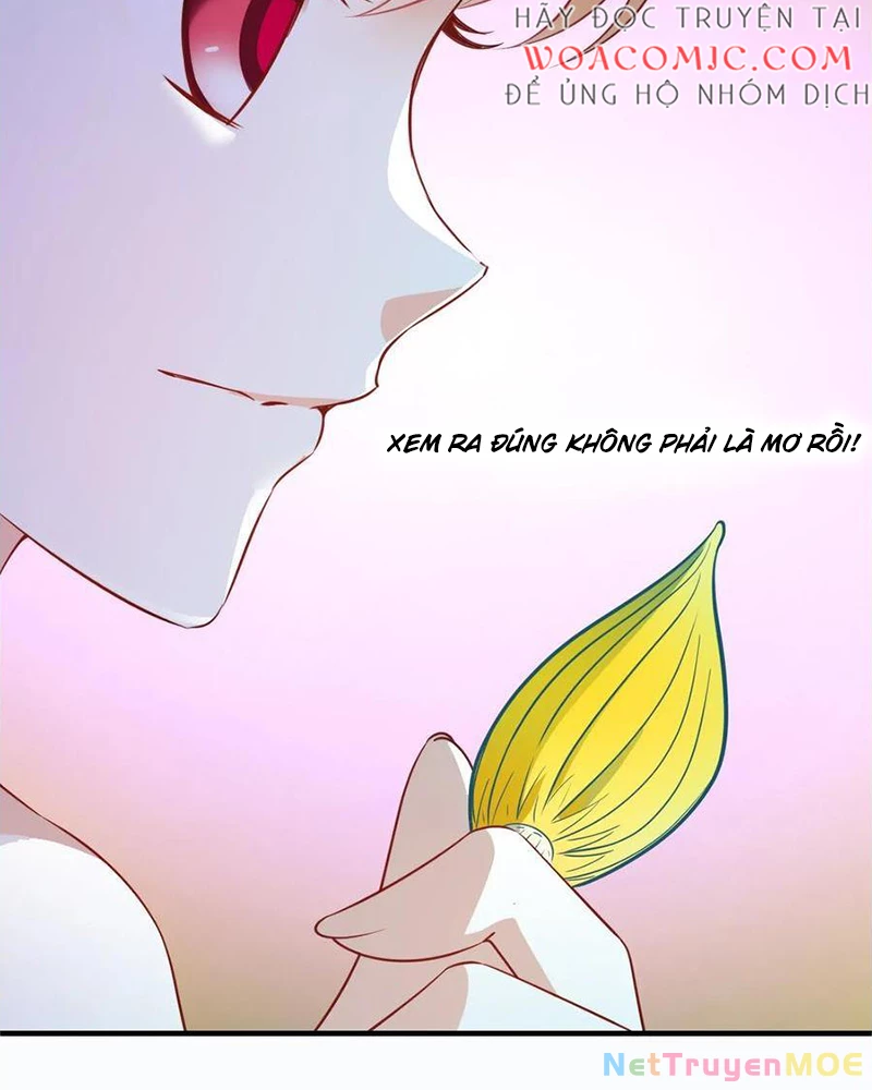 Phong Khởi Thương Lam Chapter 679 - Trang 2