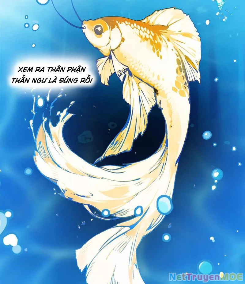 Phong Khởi Thương Lam Chapter 679 - Trang 2