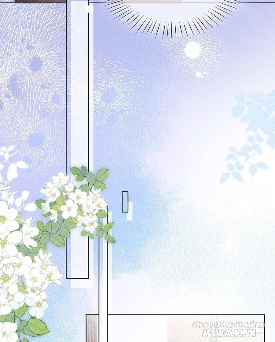 Phu Nhân Con Cờ Của Người Lại Chấn Động Cả Thành Rồi Chapter 2 - Trang 2