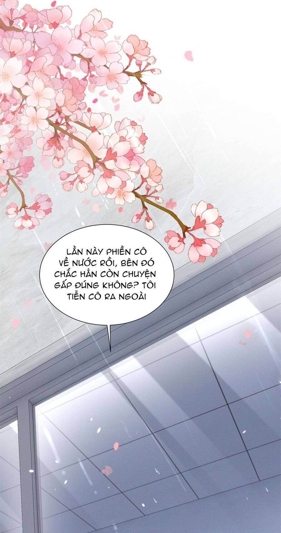 Phu Nhân, Thân Phận Của Người Lộ Rồi Chapter 51 - Trang 2