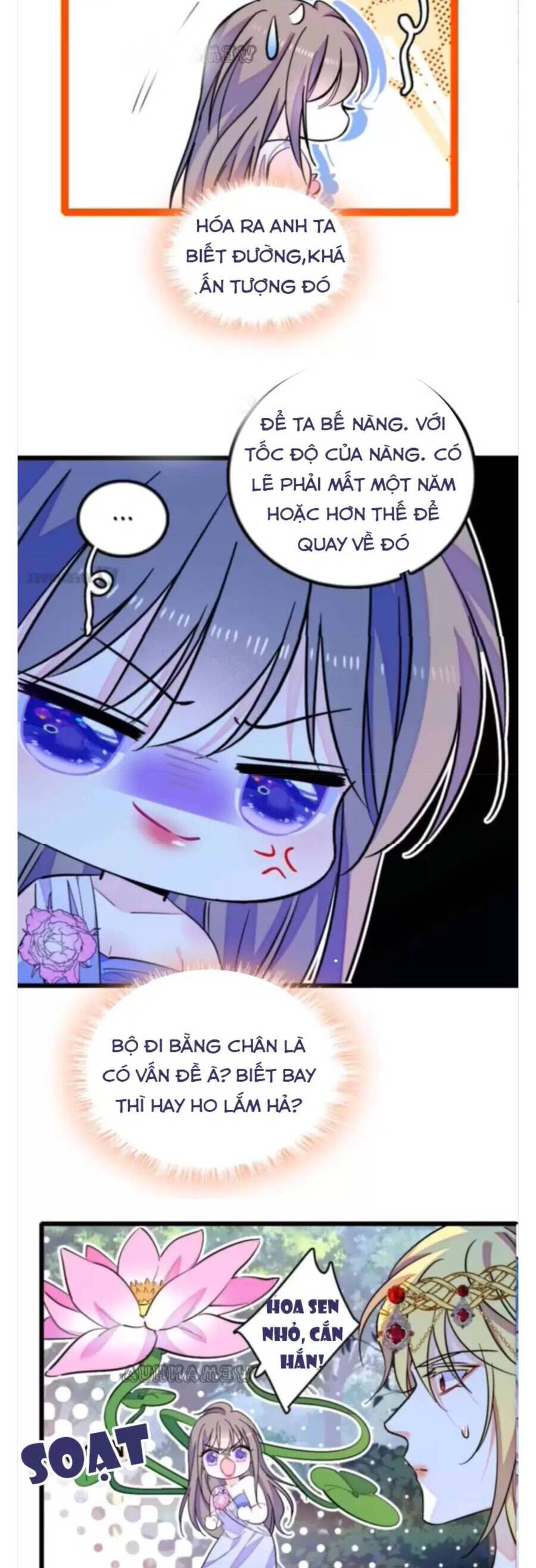 Phu Nhân , Thân Phận Thật Của Người Sắp Lộ Rồi Chapter 343 - Trang 2