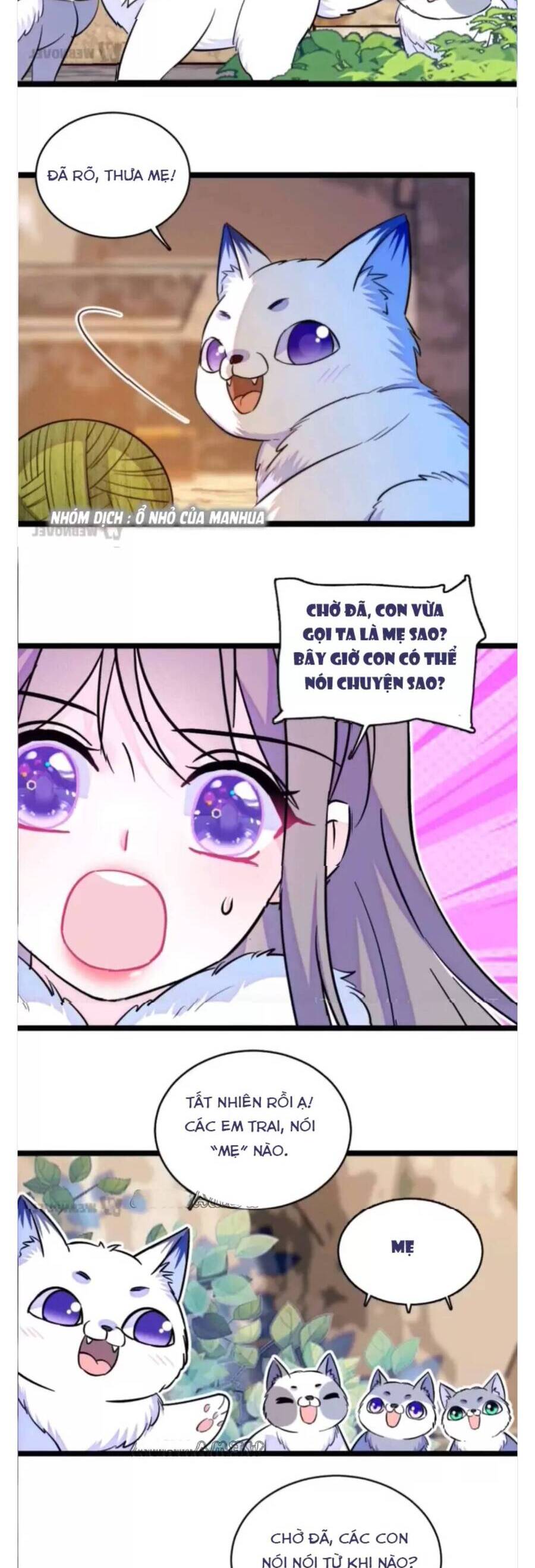 Phu Nhân , Thân Phận Thật Của Người Sắp Lộ Rồi Chapter 345 - Trang 2