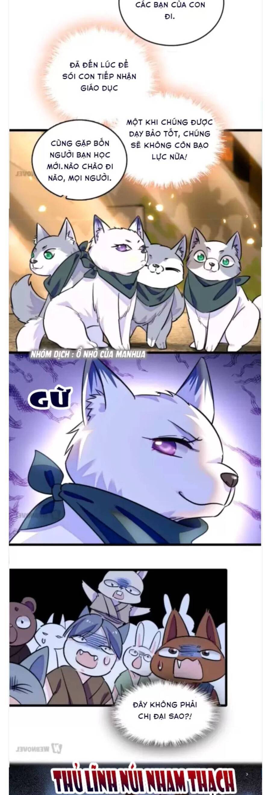 Phu Nhân , Thân Phận Thật Của Người Sắp Lộ Rồi Chapter 351 - Trang 2