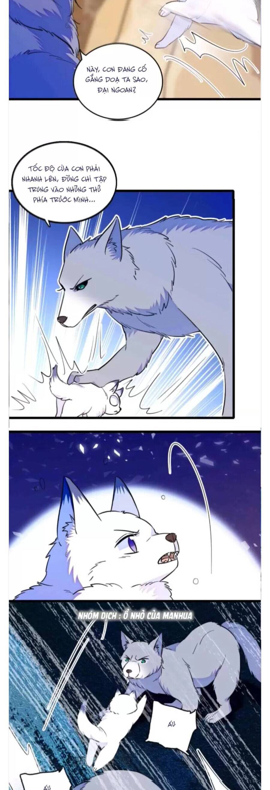 Phu Nhân , Thân Phận Thật Của Người Sắp Lộ Rồi Chapter 357 - Trang 2