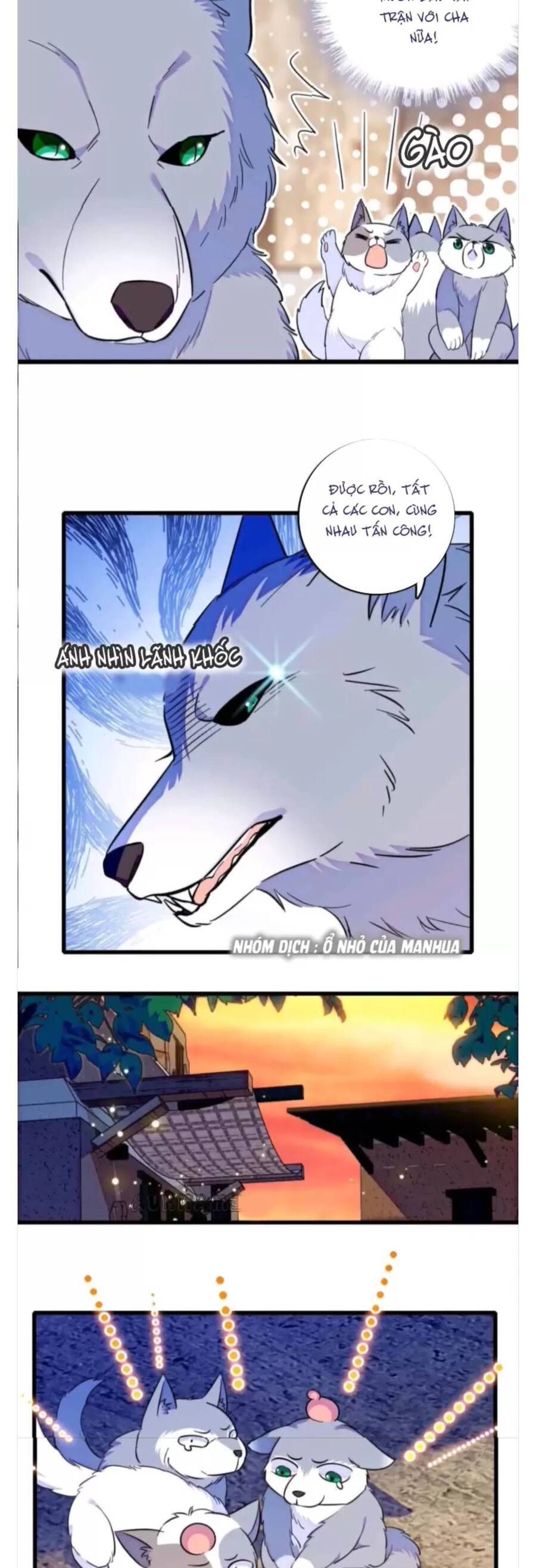 Phu Nhân , Thân Phận Thật Của Người Sắp Lộ Rồi Chapter 357 - Trang 2