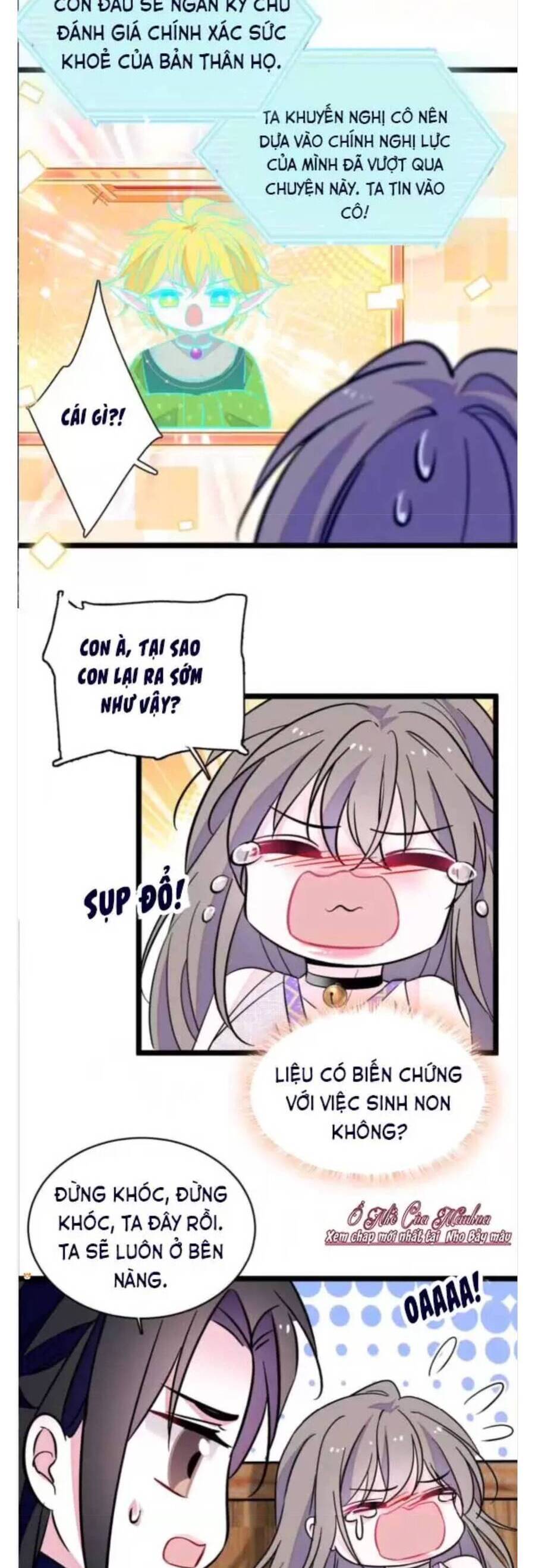 Phu Nhân , Thân Phận Thật Của Người Sắp Lộ Rồi Chapter 384 - Trang 2