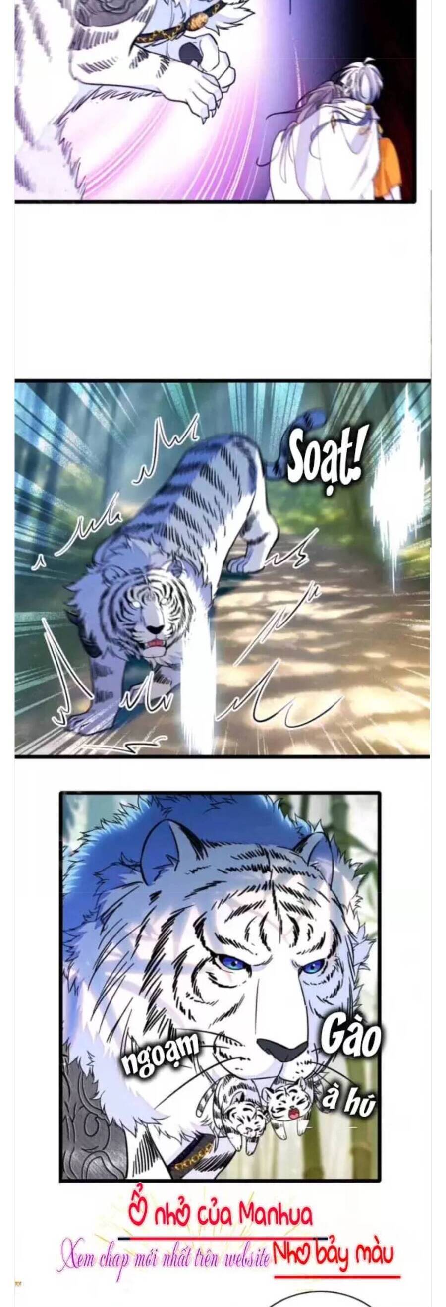 Phu Nhân , Thân Phận Thật Của Người Sắp Lộ Rồi Chapter 388 - Trang 2