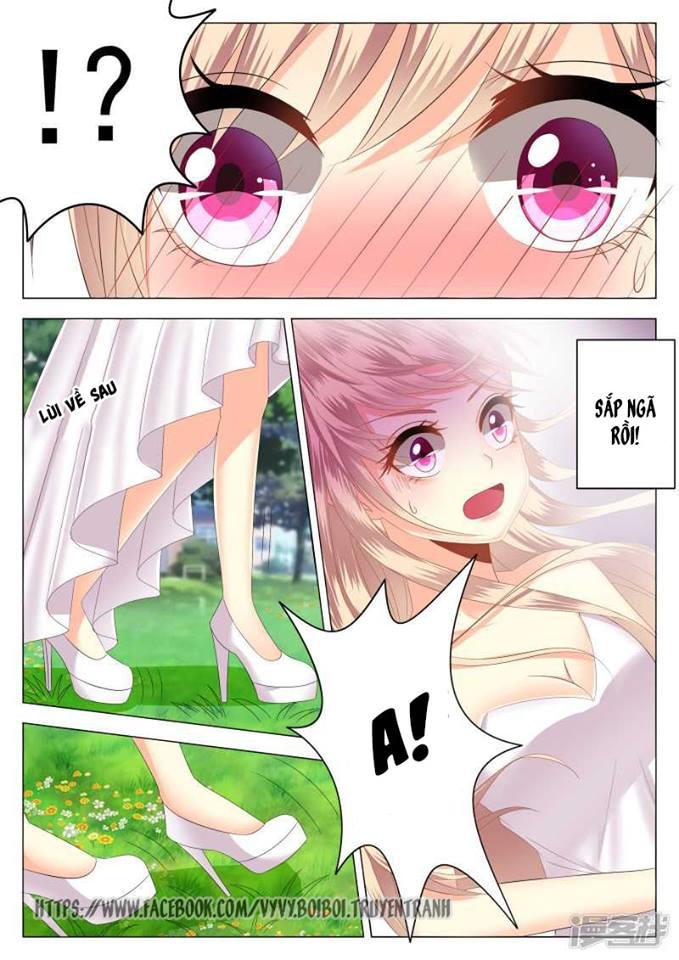 Phúc Hắc Hội Trưởng Thị Đầu Lang Chapter 1 - Trang 2