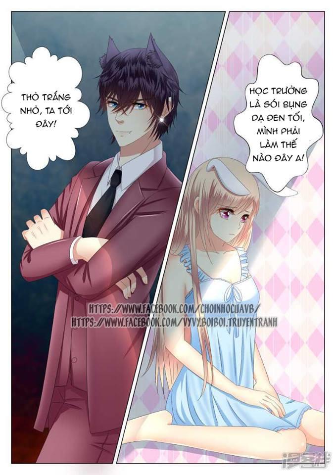 Phúc Hắc Hội Trưởng Thị Đầu Lang Chapter 3 - Trang 2