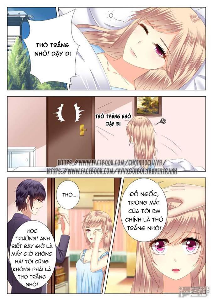 Phúc Hắc Hội Trưởng Thị Đầu Lang Chapter 3 - Trang 2