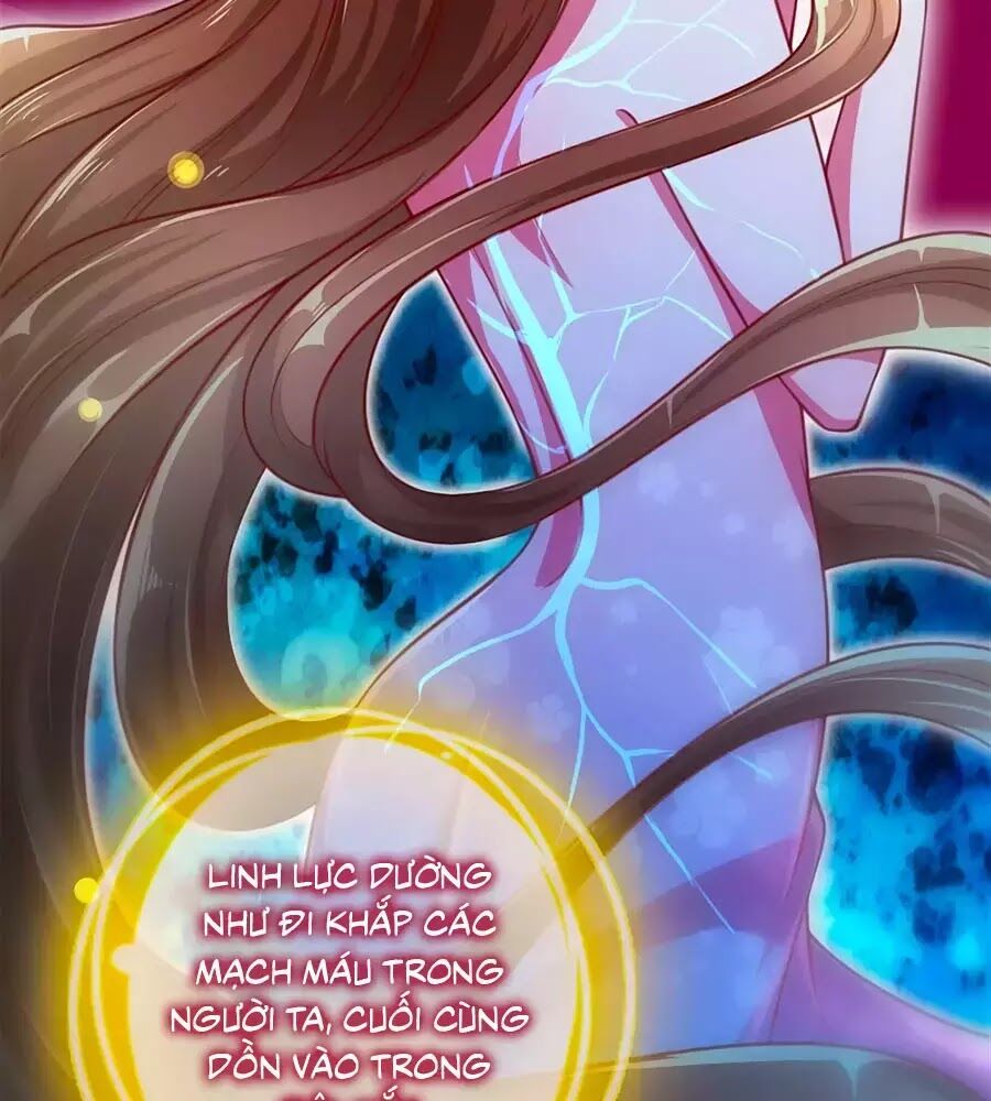 Phụng Lâm Thiên Hạ: Đệ Nhất Mỹ Nữ Chapter 11 - Trang 2