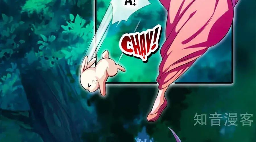 Phụng Lâm Thiên Hạ: Đệ Nhất Mỹ Nữ Chapter 3 - Trang 2