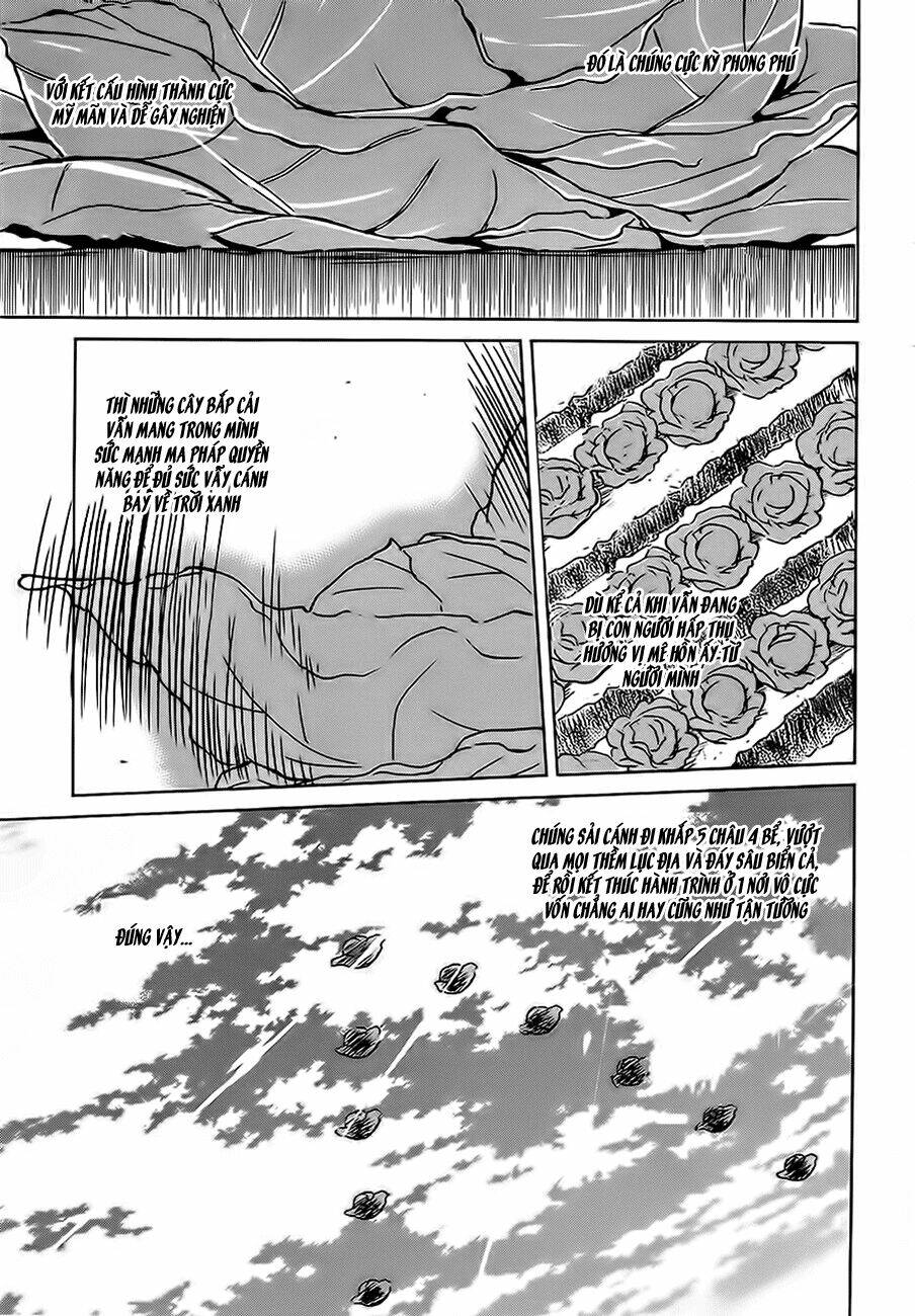 Phước Lành Cho Thế Giới Chapter 2 - Trang 2