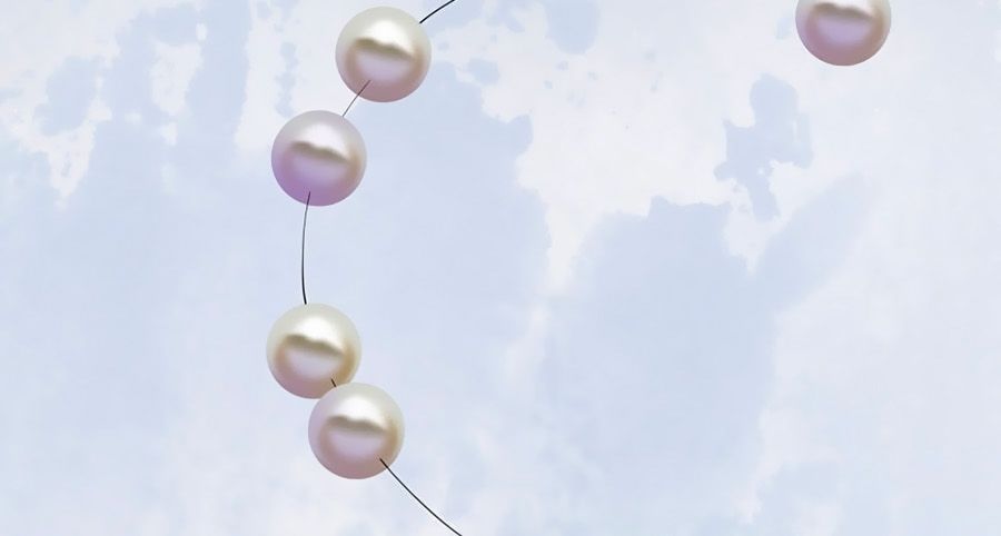 Phượng Hoàng Thác: Chuyên Sủng Khí Thê Chapter 1 - Trang 2