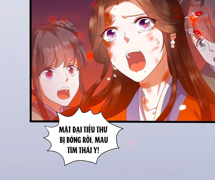 Phượng Hoàng Thác: Chuyên Sủng Khí Thê Chapter 1 - Trang 2