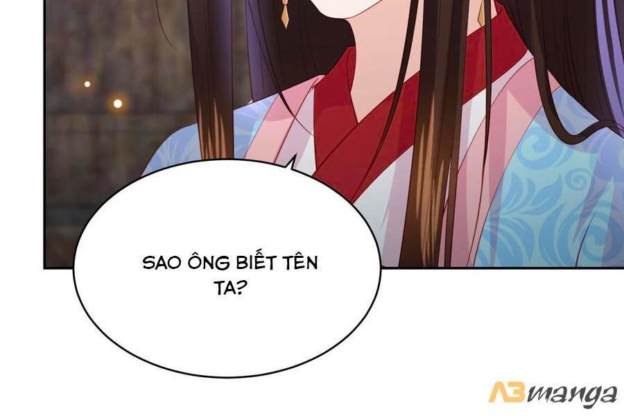 Phượng Hoàng Thác: Chuyên Sủng Khí Thê Chapter 104 - Trang 2