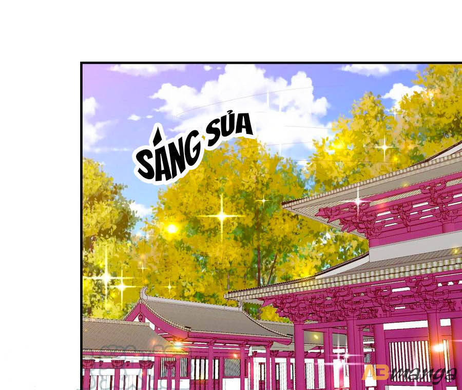 Phượng Hoàng Thác: Chuyên Sủng Khí Thê Chapter 167 - Trang 2