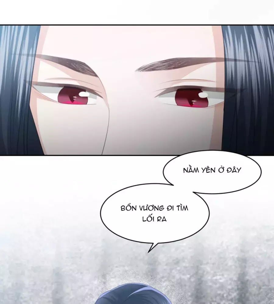 Phượng Hoàng Thác: Chuyên Sủng Khí Thê Chapter 17 - Trang 2