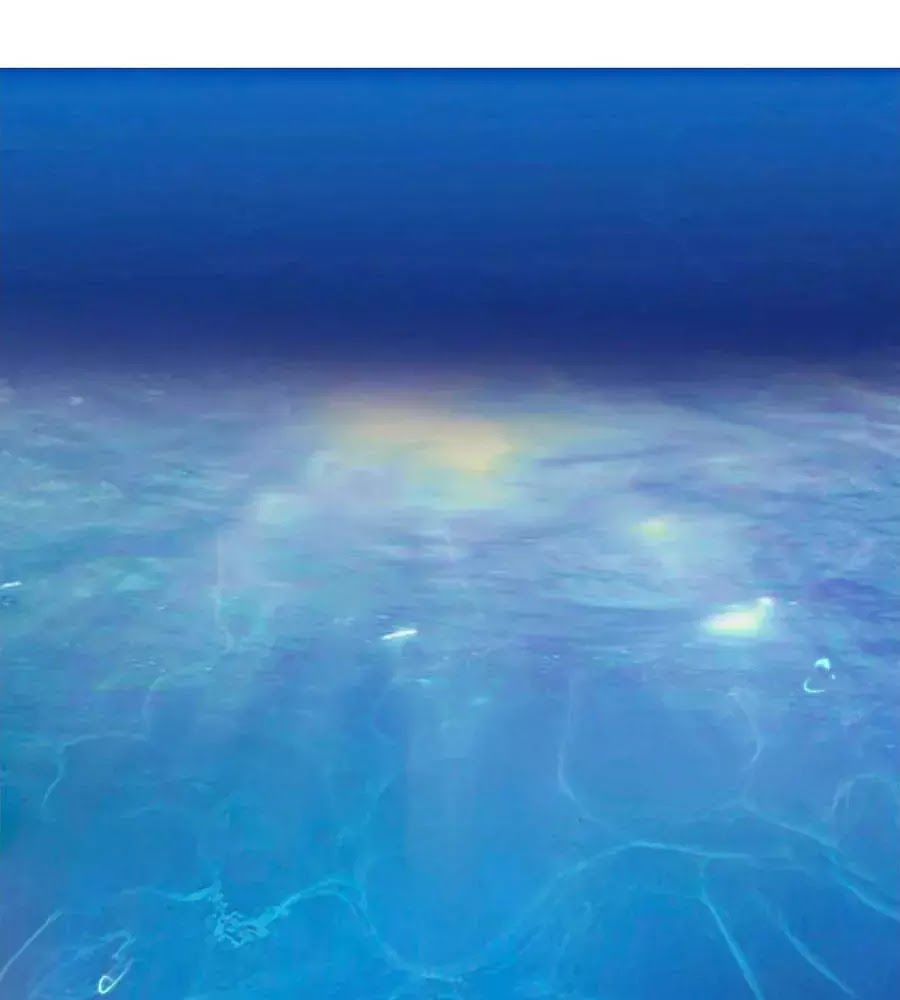 Phượng Hoàng Thác: Chuyên Sủng Khí Thê Chapter 24 - Trang 2