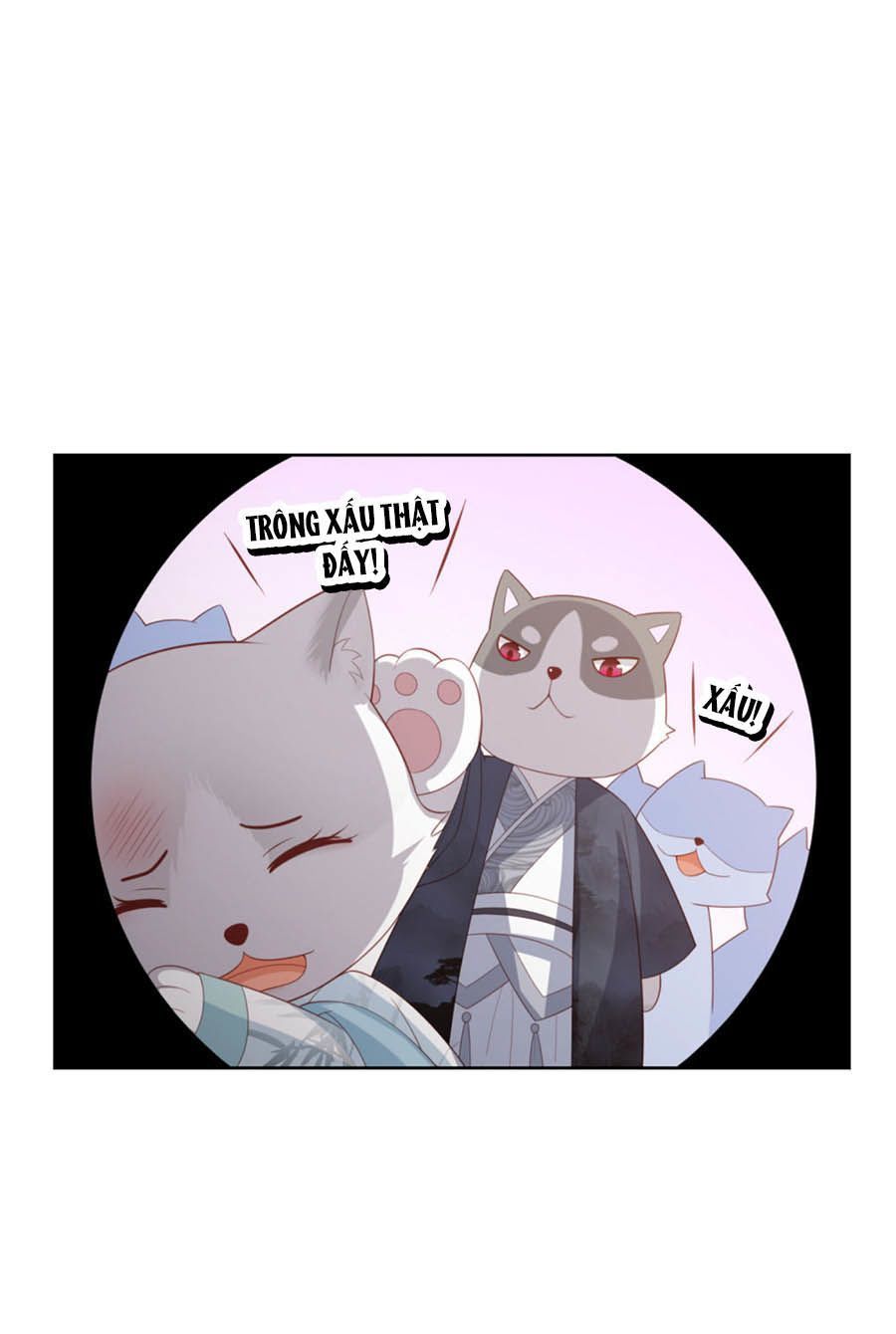 Phượng Hoàng Thác: Chuyên Sủng Khí Thê Chapter 27.5 - Trang 2