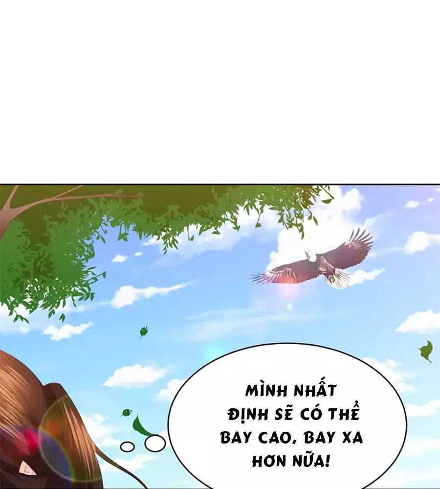 Phượng Hoàng Thác: Chuyên Sủng Khí Thê Chapter 28 - Trang 2