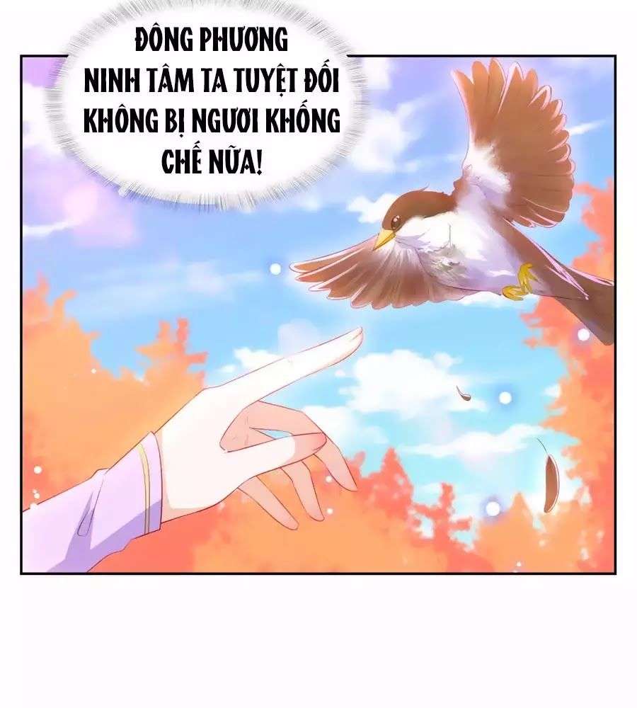Phượng Hoàng Thác: Chuyên Sủng Khí Thê Chapter 35 - Trang 2