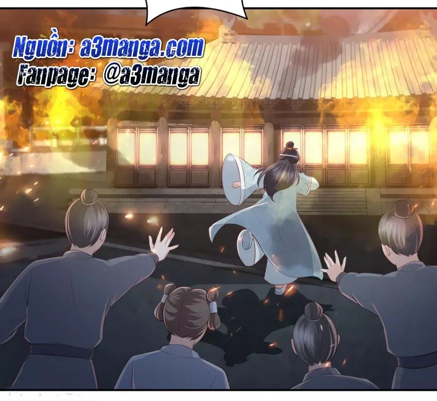 Phượng Hoàng Thác: Chuyên Sủng Khí Thê Chapter 49 - Trang 2