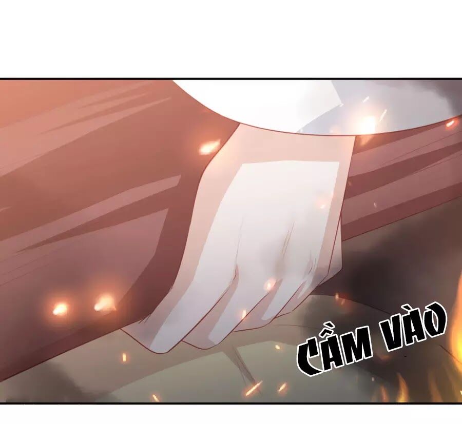 Phượng Hoàng Thác: Chuyên Sủng Khí Thê Chapter 49 - Trang 2