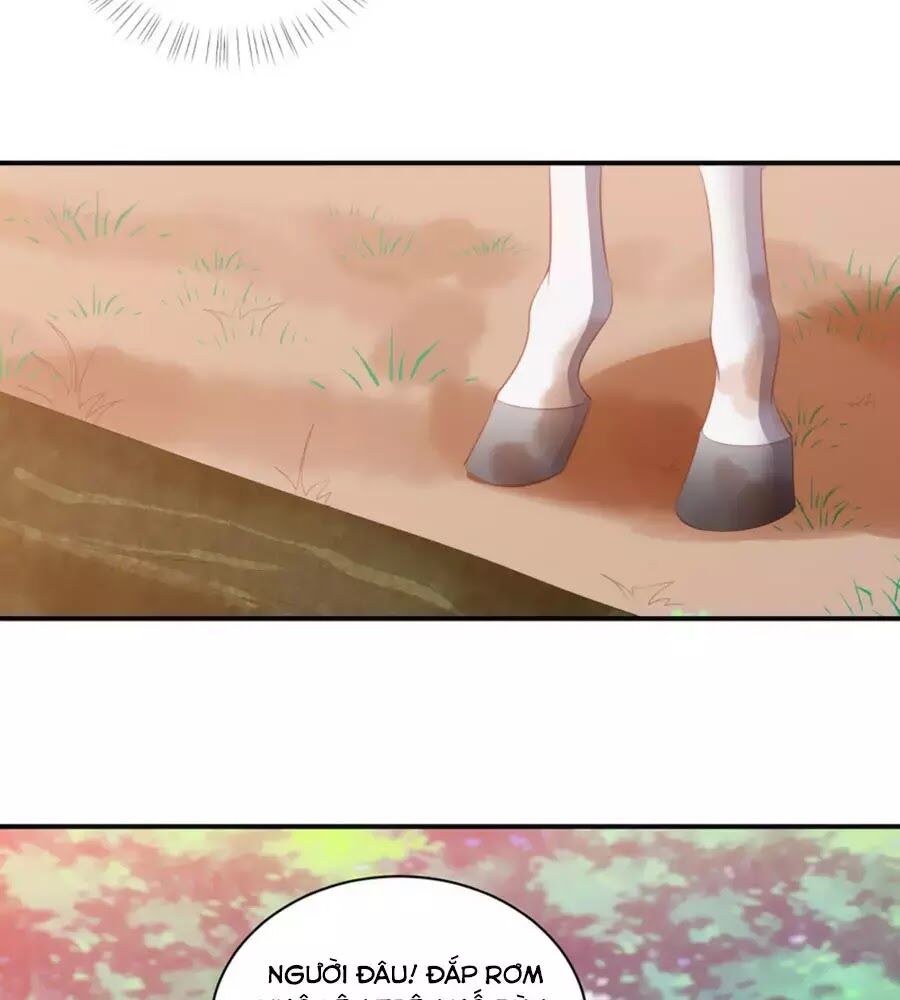 Phượng Hoàng Thác: Chuyên Sủng Khí Thê Chapter 51 - Trang 2