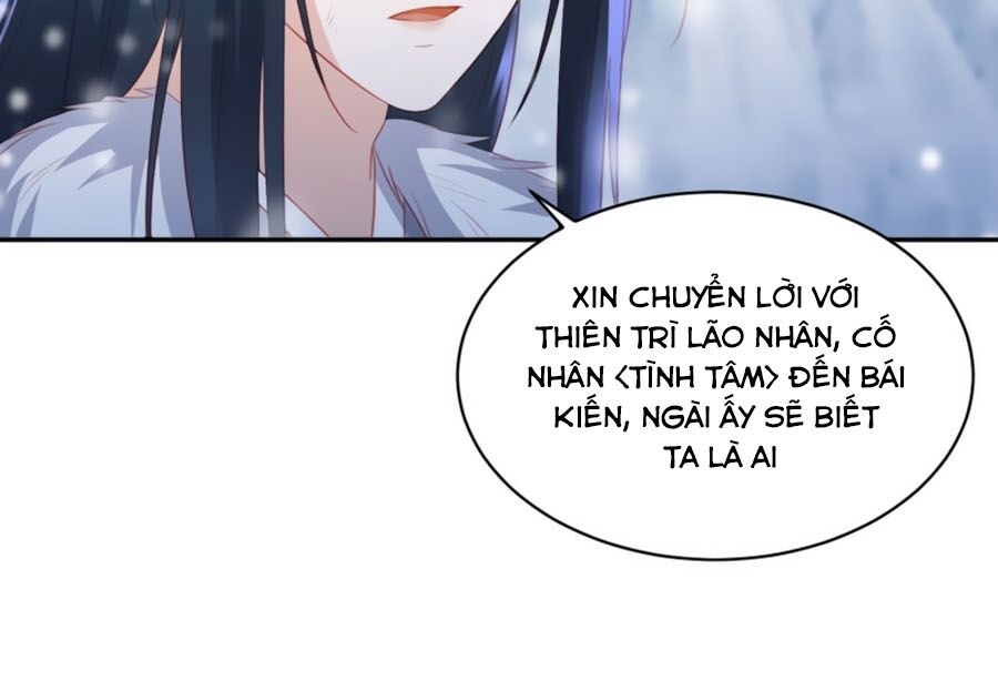 Phượng Hoàng Thác: Chuyên Sủng Khí Thê Chapter 55 - Trang 2