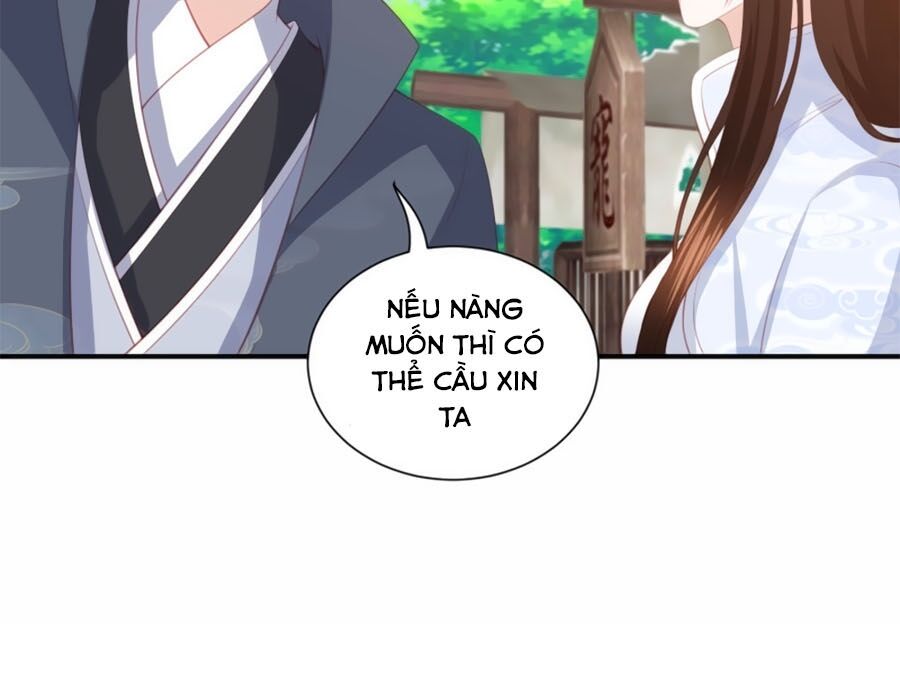 Phượng Hoàng Thác: Chuyên Sủng Khí Thê Chapter 74 - Trang 2