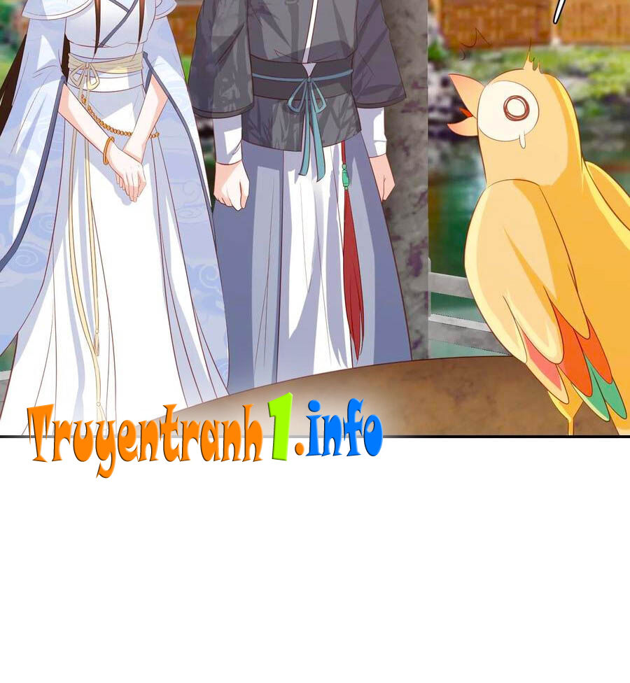 Phượng Hoàng Thác: Chuyên Sủng Khí Thê Chapter 94 - Trang 2
