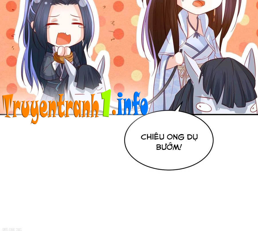 Phượng Hoàng Thác: Chuyên Sủng Khí Thê Chapter 94 - Trang 2