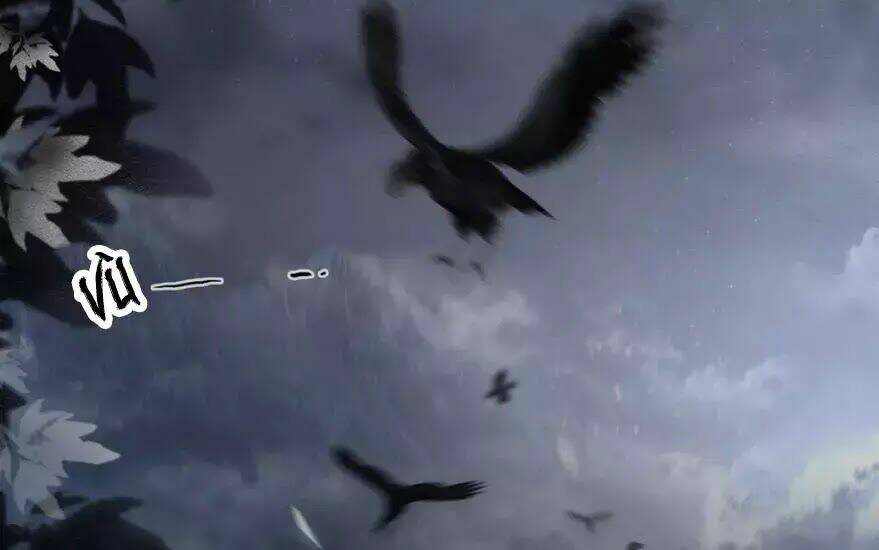 Phượng Hoàng Vu Phi Chapter 0 - Trang 2