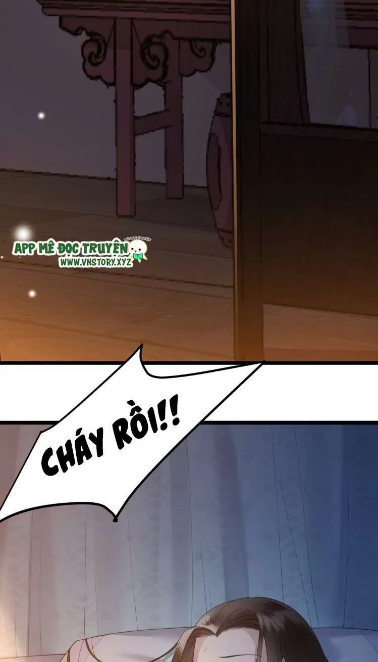 Phượng Hoàng Vu Phi Chapter 11 - Trang 2