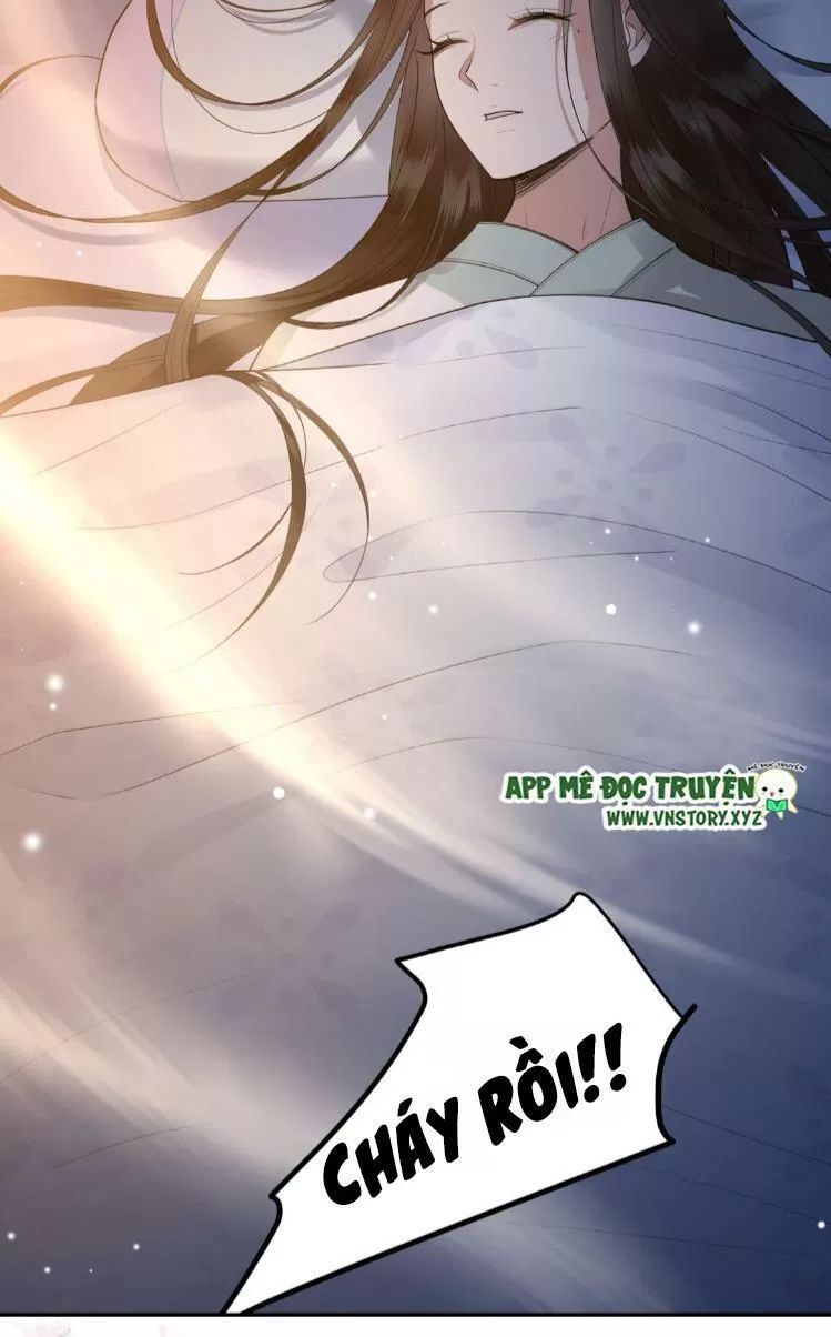 Phượng Hoàng Vu Phi Chapter 11 - Trang 2