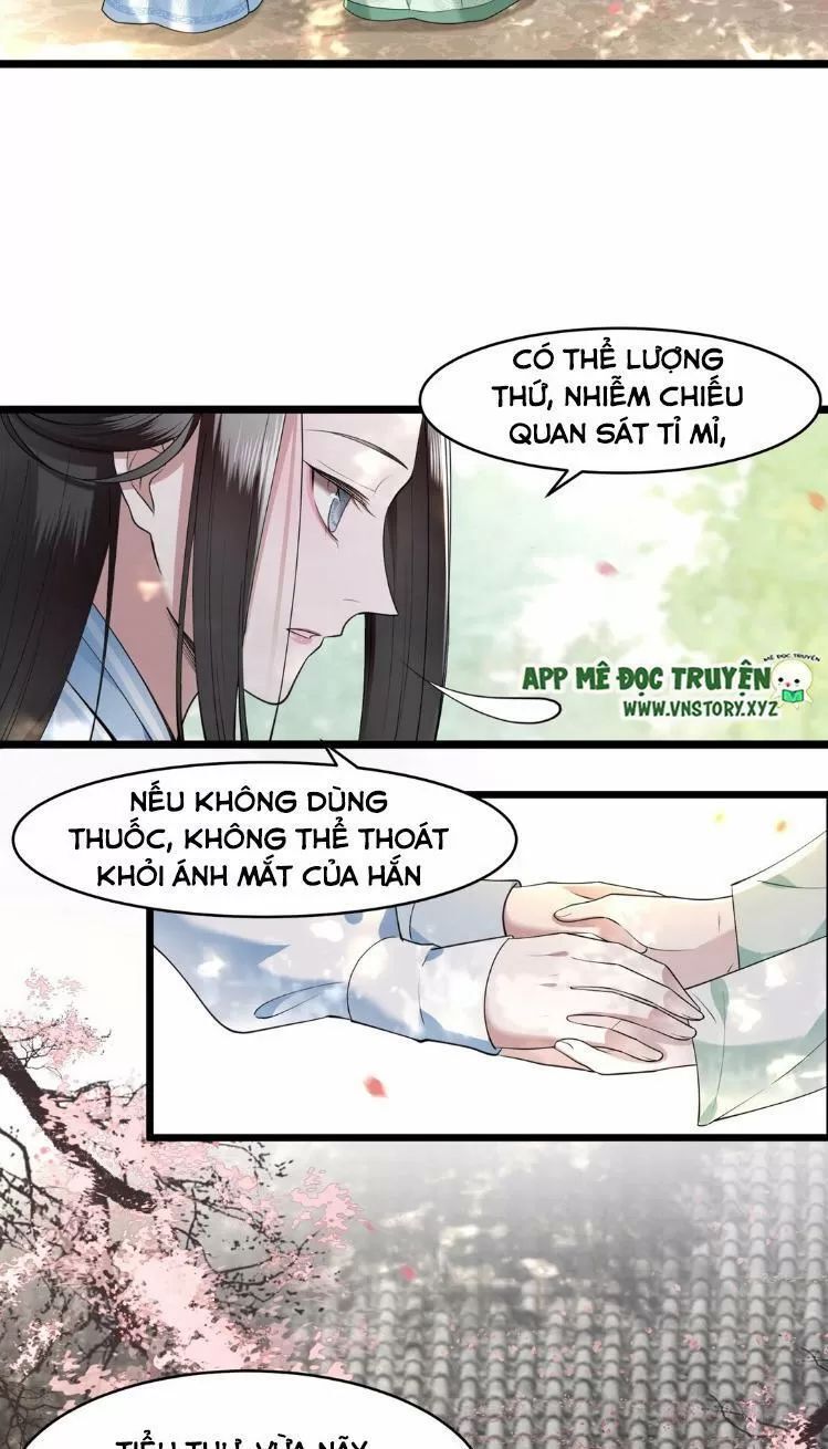 Phượng Hoàng Vu Phi Chapter 11 - Trang 2