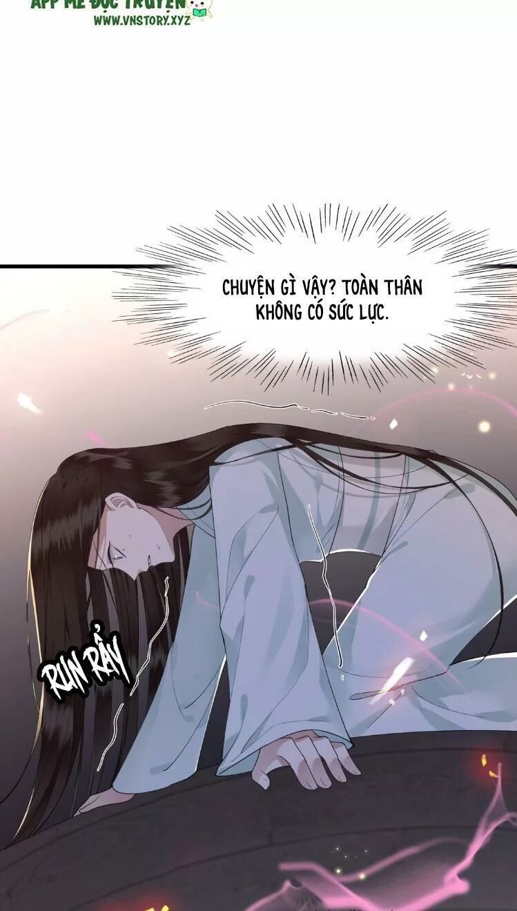 Phượng Hoàng Vu Phi Chapter 12 - Trang 2