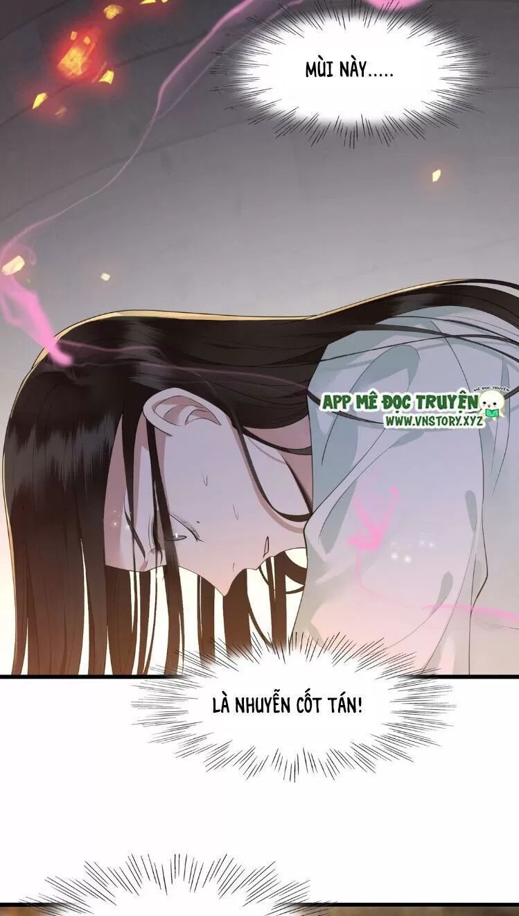 Phượng Hoàng Vu Phi Chapter 12 - Trang 2