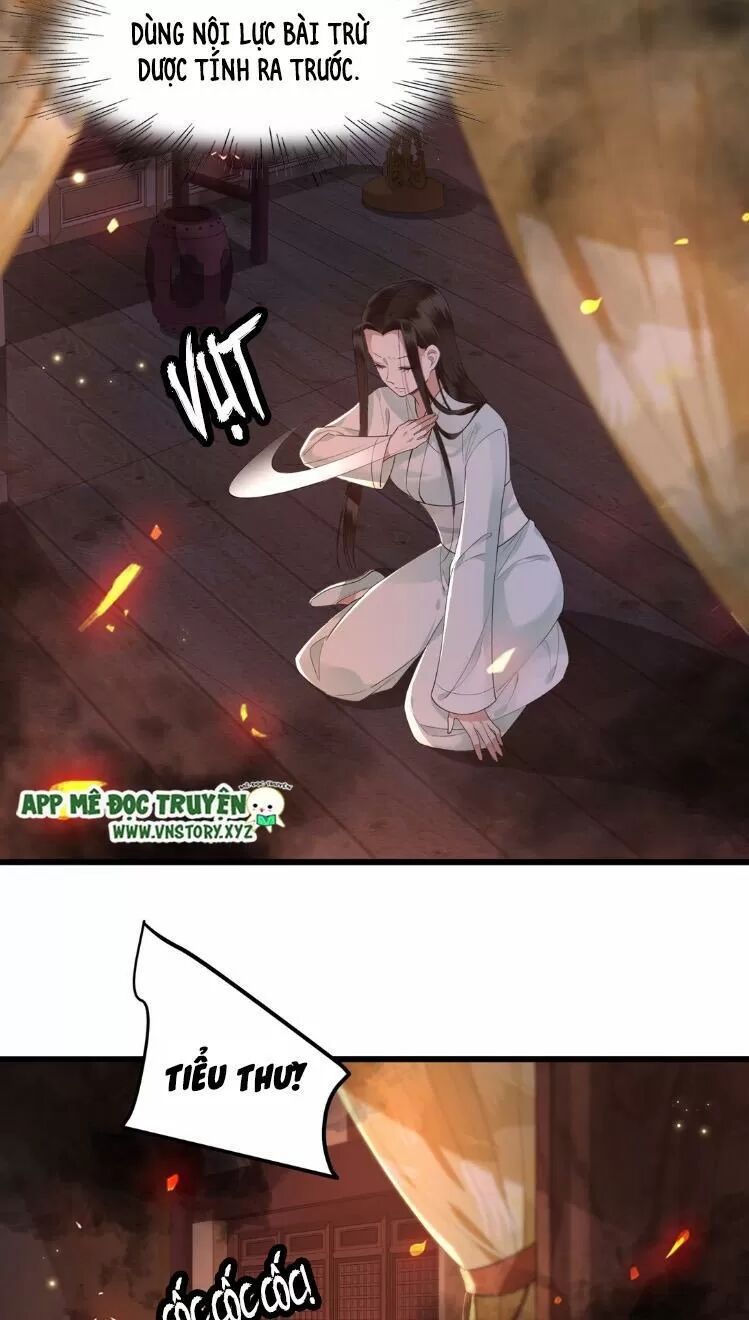 Phượng Hoàng Vu Phi Chapter 12 - Trang 2