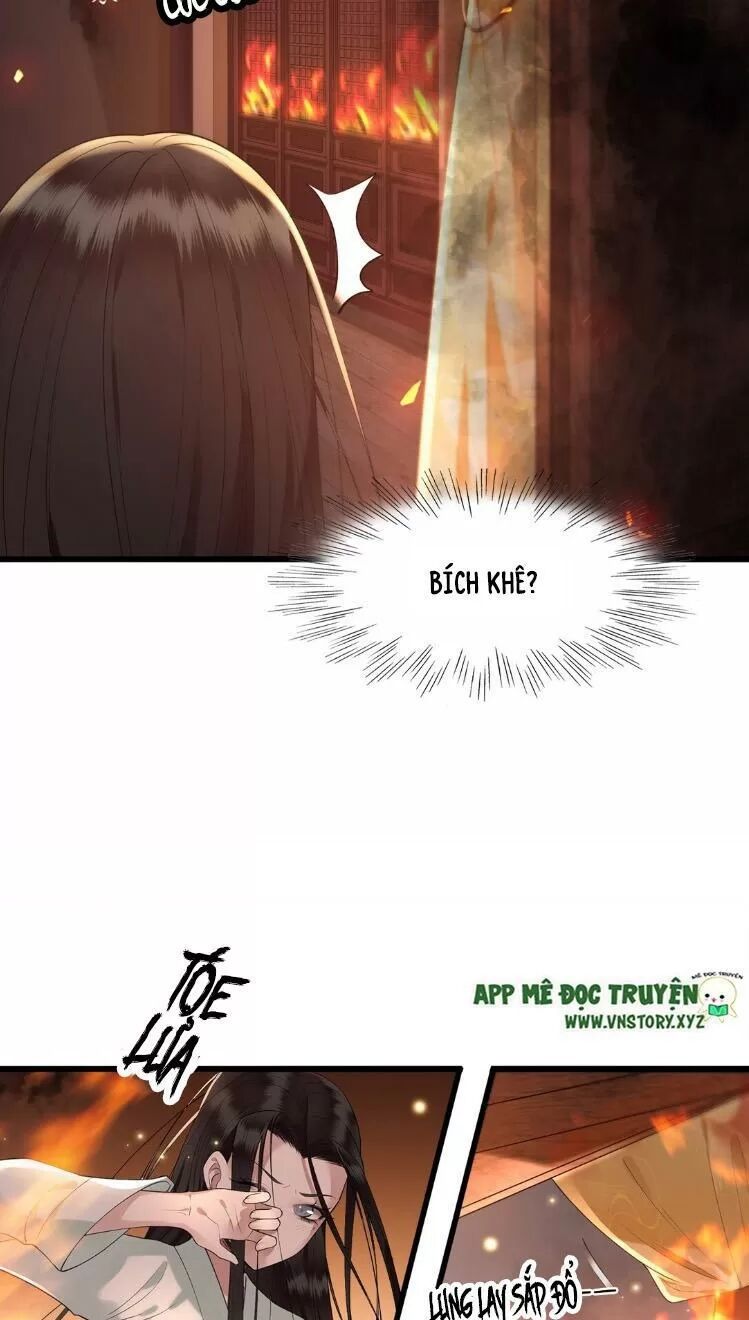 Phượng Hoàng Vu Phi Chapter 12 - Trang 2