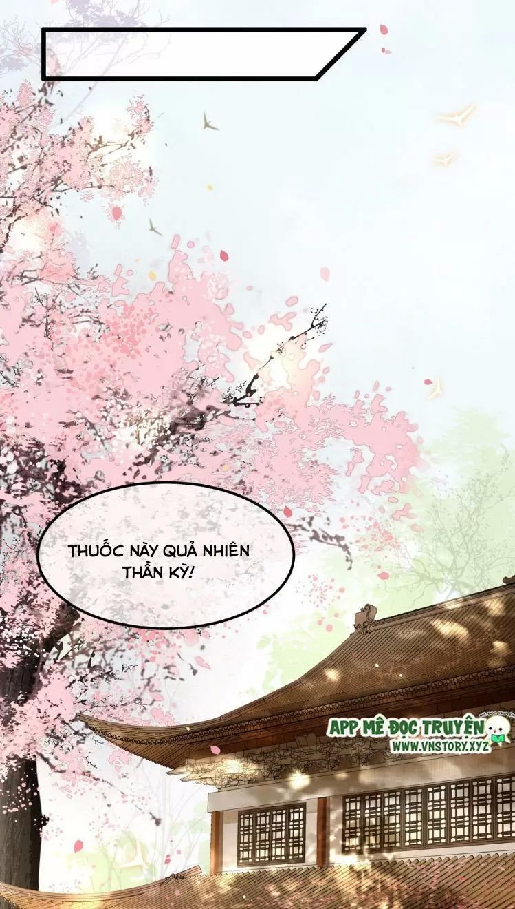 Phượng Hoàng Vu Phi Chapter 16 - Trang 2