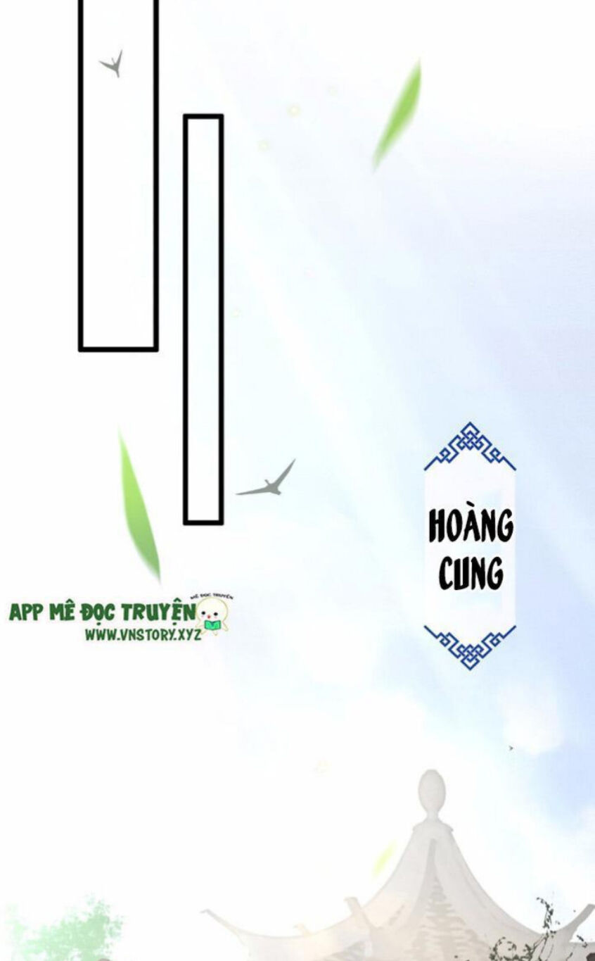 Phượng Hoàng Vu Phi Chapter 17 - Trang 2