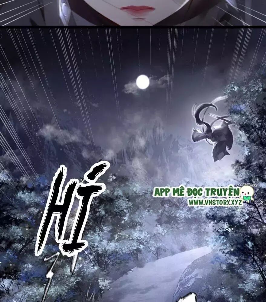 Phượng Hoàng Vu Phi Chapter 2 - Trang 2