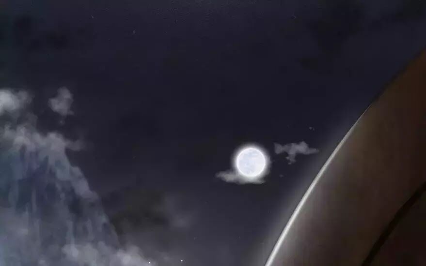 Phượng Hoàng Vu Phi Chapter 2 - Trang 2