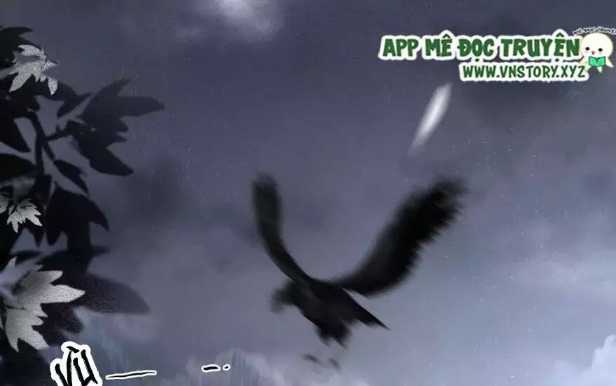 Phượng Hoàng Vu Phi Chapter 2 - Trang 2
